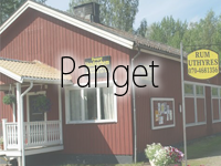 Panget-HEDEMORA-WEBB